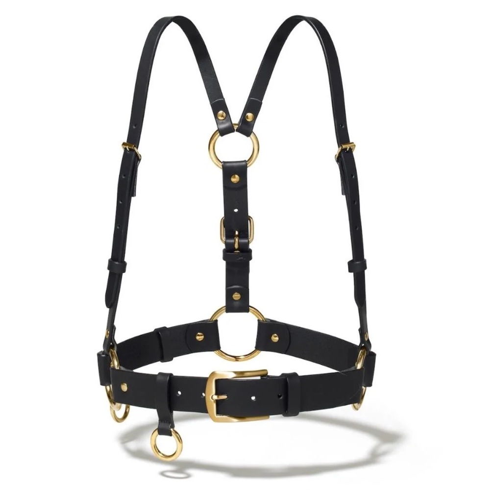 Ardeo Studios Harness in Brass